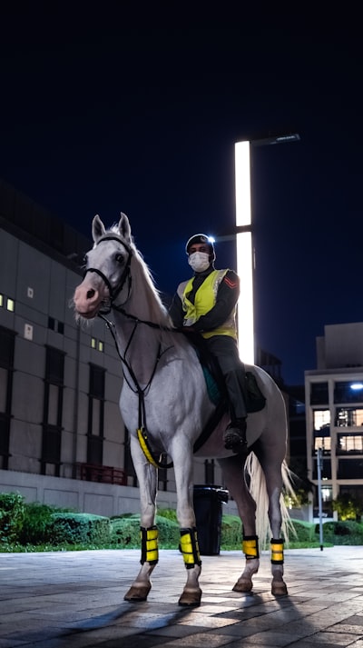 اليونايتد وارسنالقوة العمل الجماعي في تحقيق النجاح